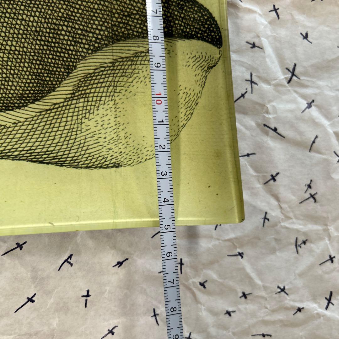 ジョン・デリアン　プレート