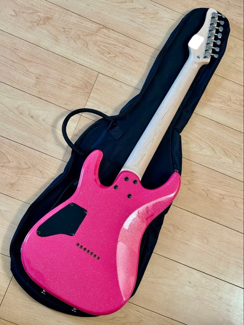 SCHECTER BC-AveMujica Mortis モーティス　7弦ギター