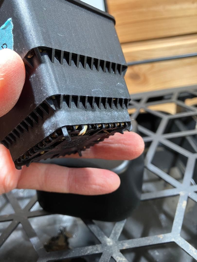 ハイブリッド　アガベ　ネバデンシス✖️コロラータ ネバコロ