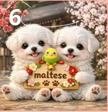 ご確認用　69 絵馬わんこ柄　ハンカチ　ハンドメイド12/29