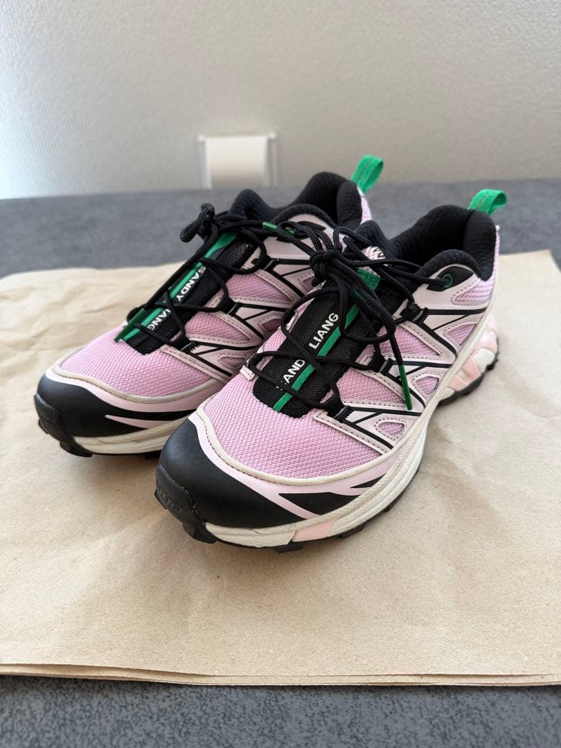 靴 Salomon x Sandy Liang XT-6 Expanse