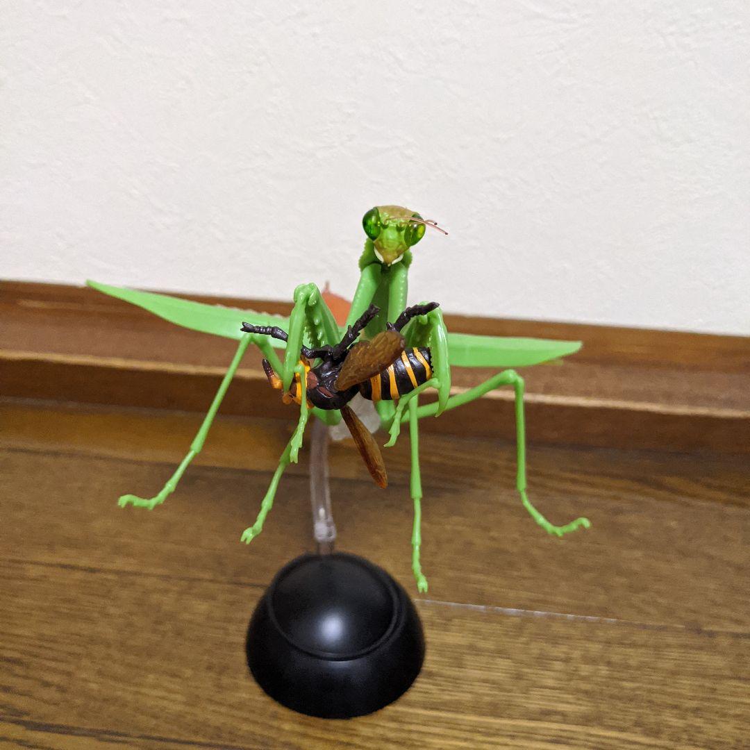 カマキリＶＳスズメバチ