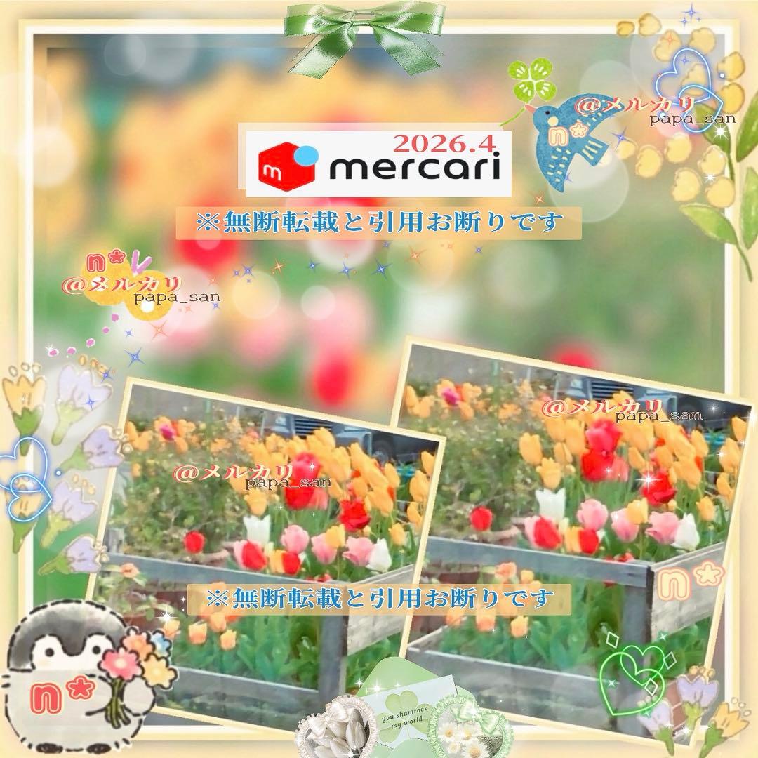 ❀メルカリn様✩ページです