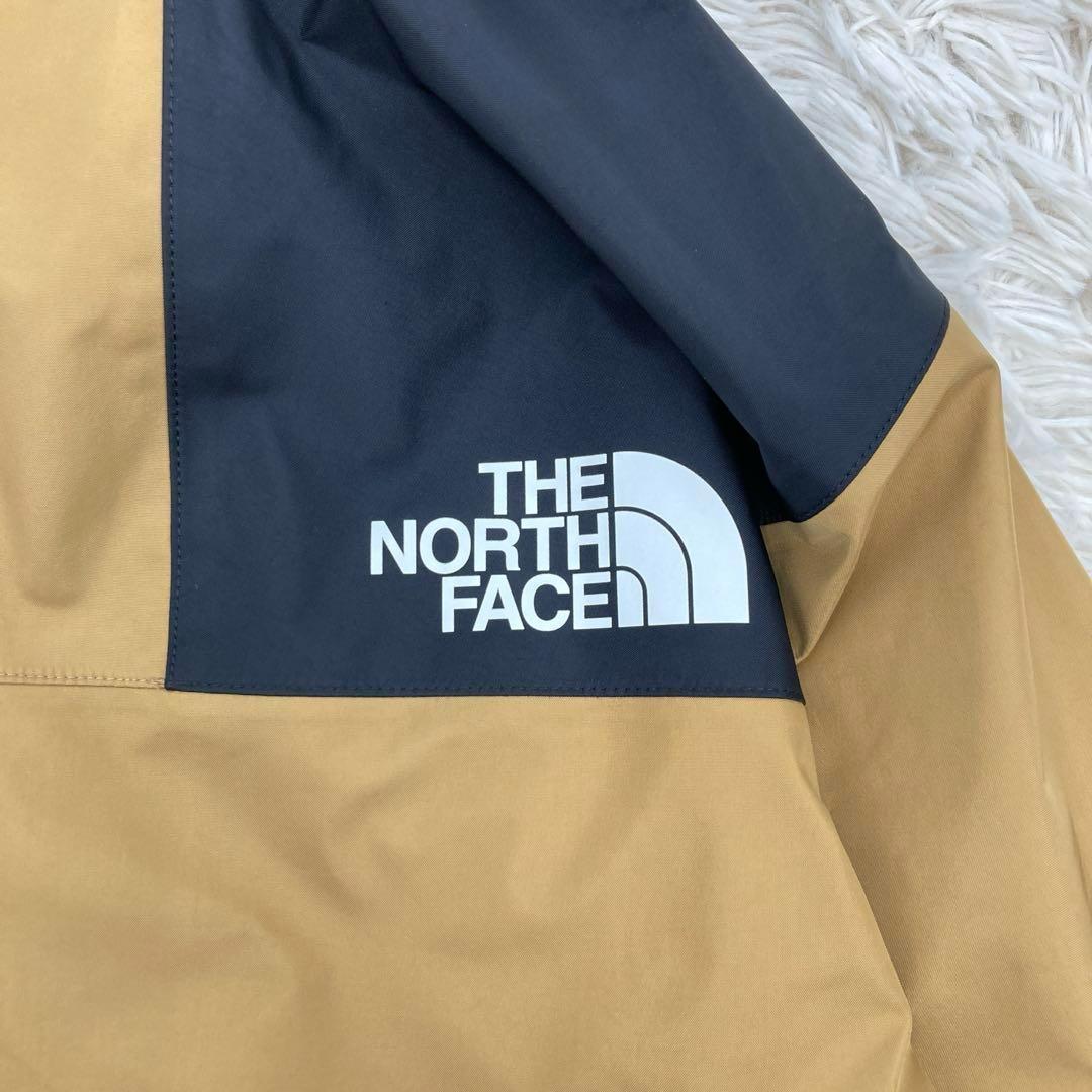 【ゴアテックス】ノースフェイス レインテックスマウンテンパーカー L 超人気