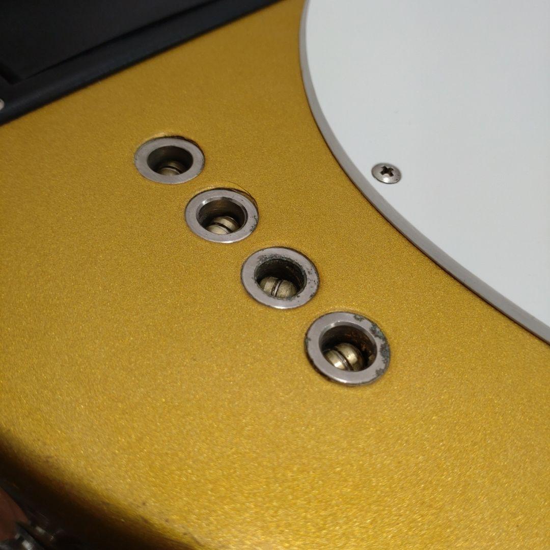 KOU様リクエスト FERNANDES PIE-ZO ゴールド！ZO-3ベース