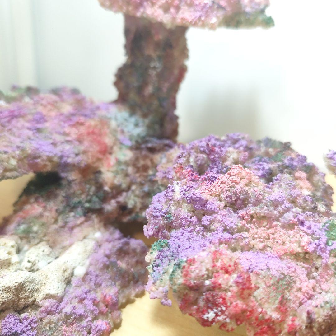 新品アク抜き不要 分離型人工ライブロック 60cm海水水槽用 レプリカ 多孔質4