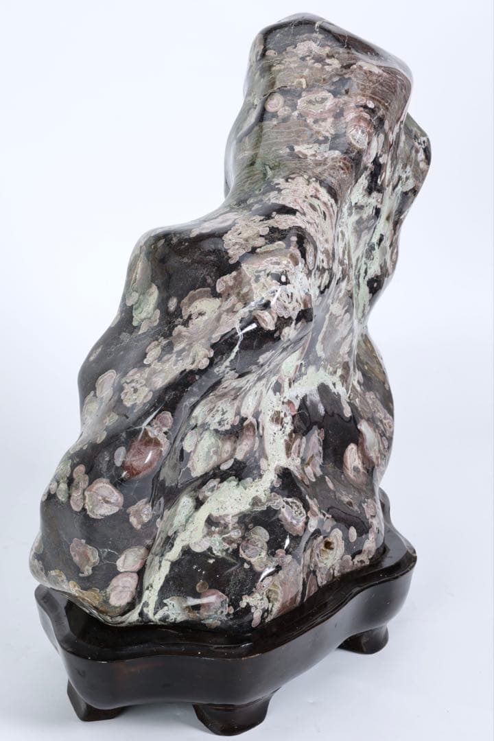 紅梅 梅花石 台座付 15kg 鑑賞石 牡丹石 菊花石 紋石 水石 原石 飾石