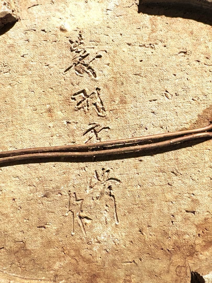 マユミ盆栽❗️真弓盆栽！古木❗️毎年実が沢山なります！鉢は作家物、一点物。雑木盆栽