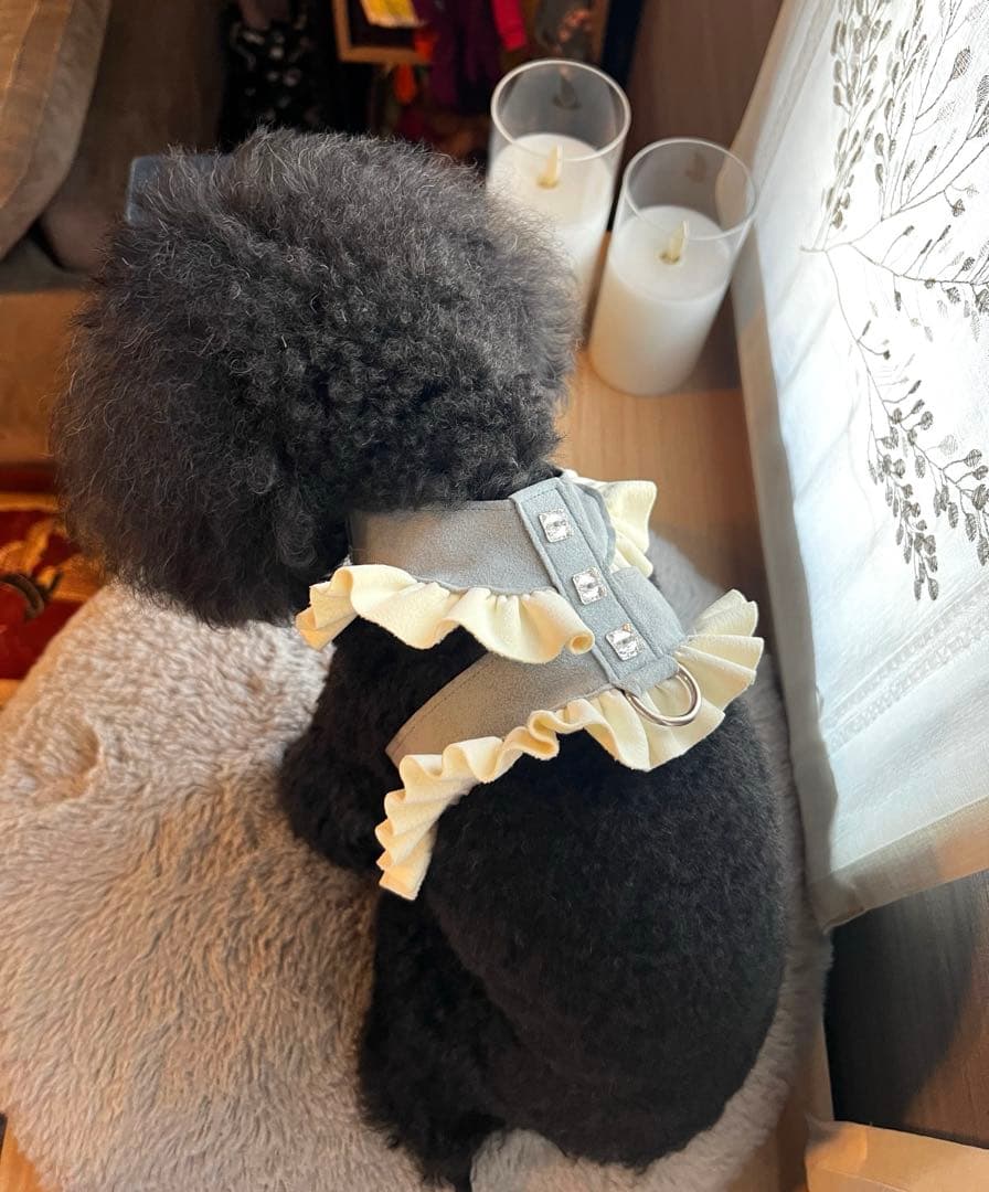 スーザンランシーハーネス&リードセットサイズS