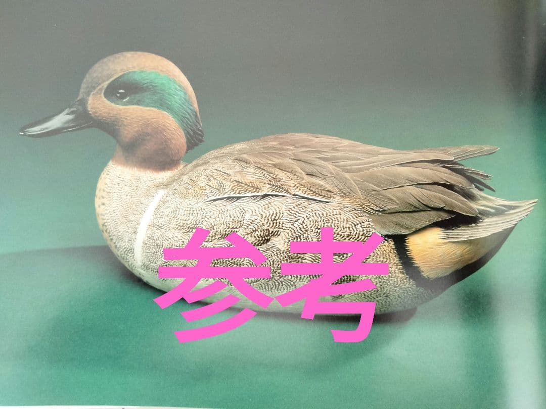 アメリカコガモのスタディバード　バードカービング　他2点