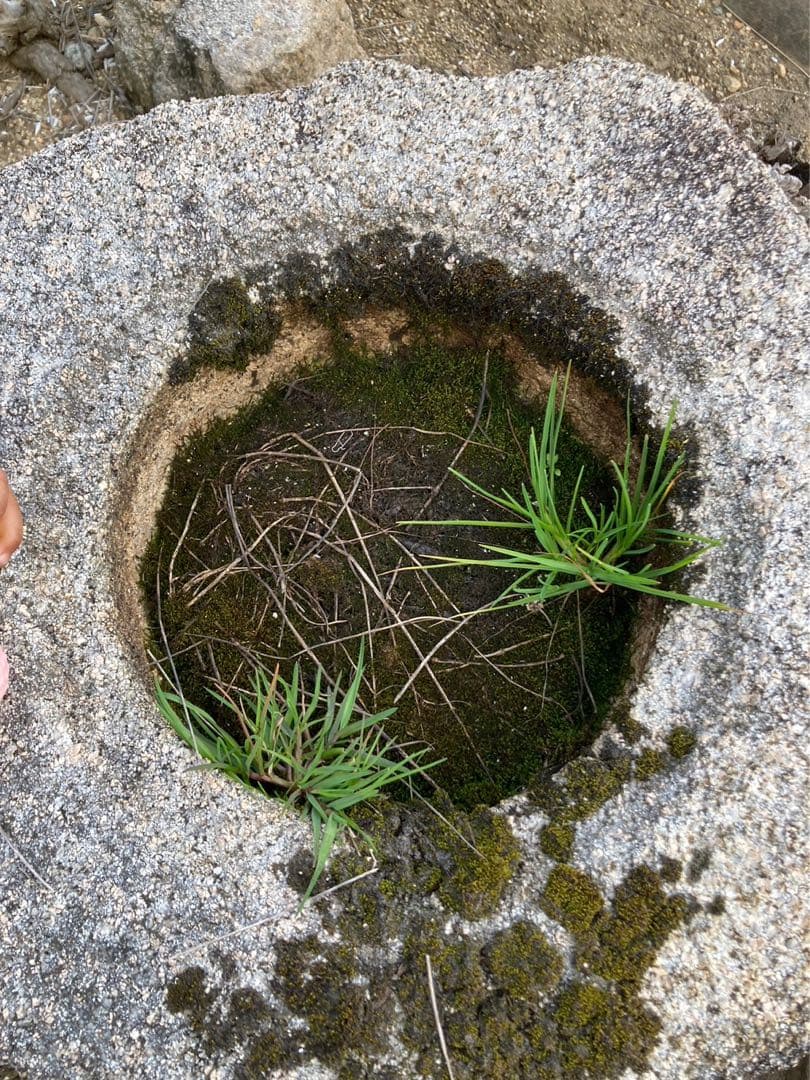 縁先手水鉢　立鉢　夏目　立手水鉢② 天然石【引き取りエリア　兵庫県】