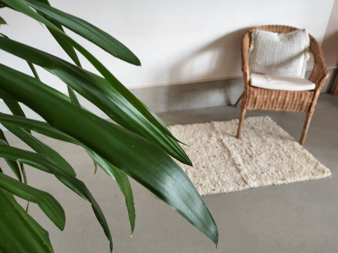 新品/人気/淡いグレードット　アイボリーベースベニワレンNo.693