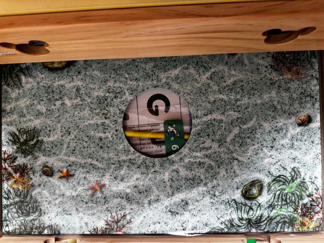 【ひまわり】DWE② (2/5箱)