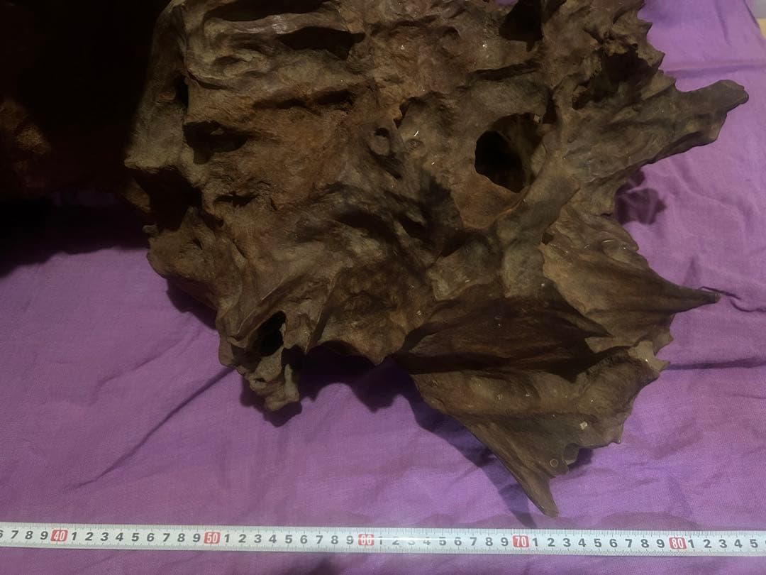 コエポン様　流木 自然形状　約80×50×47