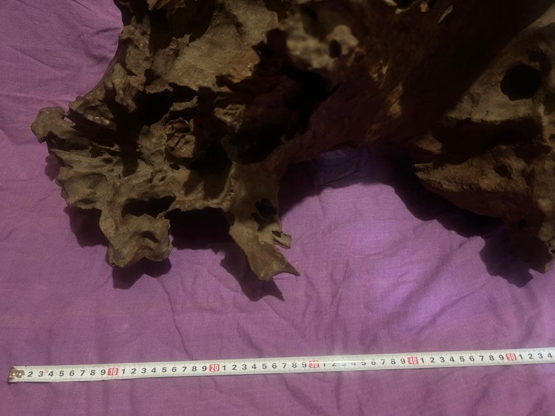 コエポン様　流木 自然形状　約80×50×47