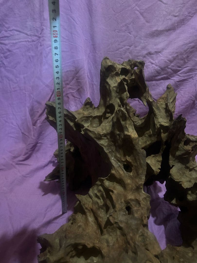 コエポン様　流木 自然形状　約80×50×47