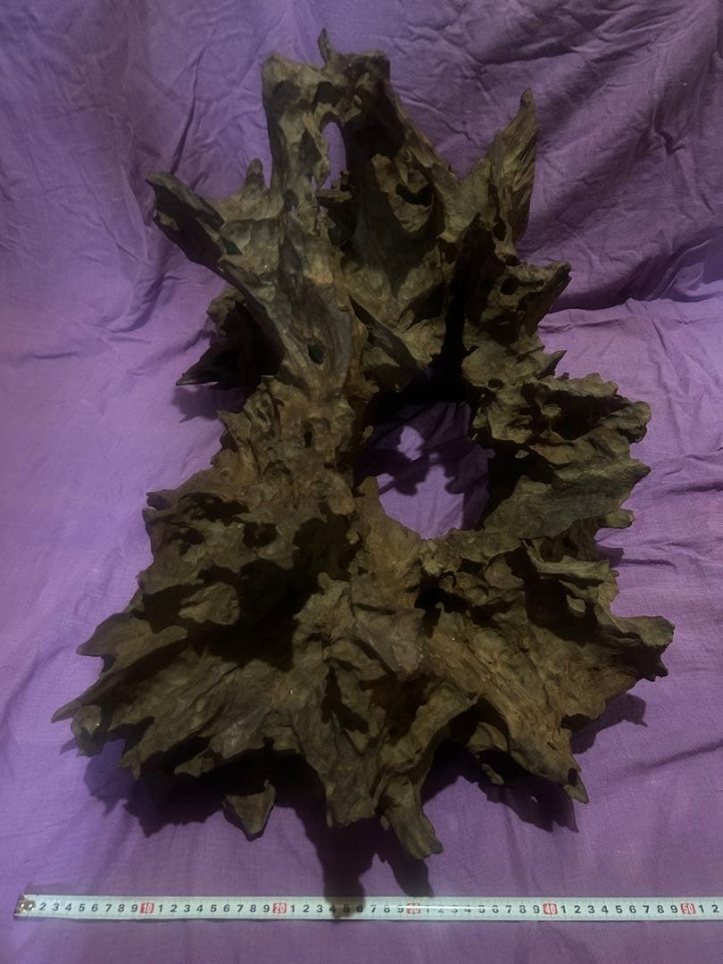 コエポン様　流木 自然形状　約80×50×47