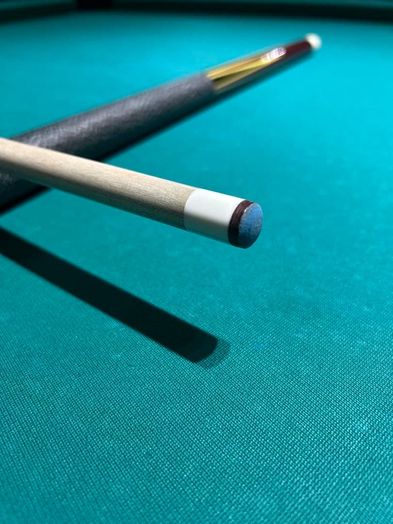 【レビエットホアさん専用】アダムAD-V3 キューケース付き