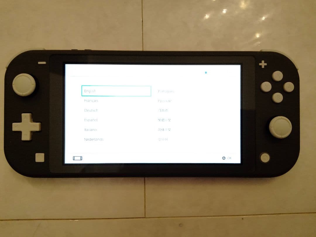 【えみり】Nintendo Switch Lite