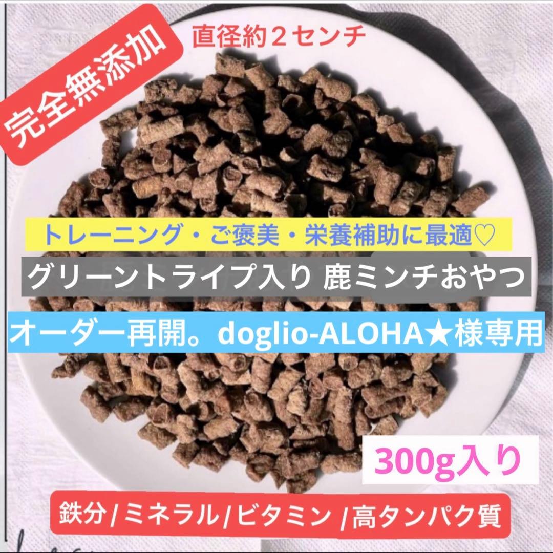 オーダー再開。doglio-ALOHA★