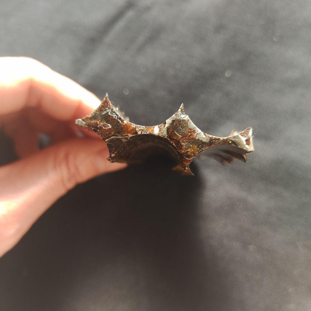 パラサイト隕石　セリコ隕石　87.8g