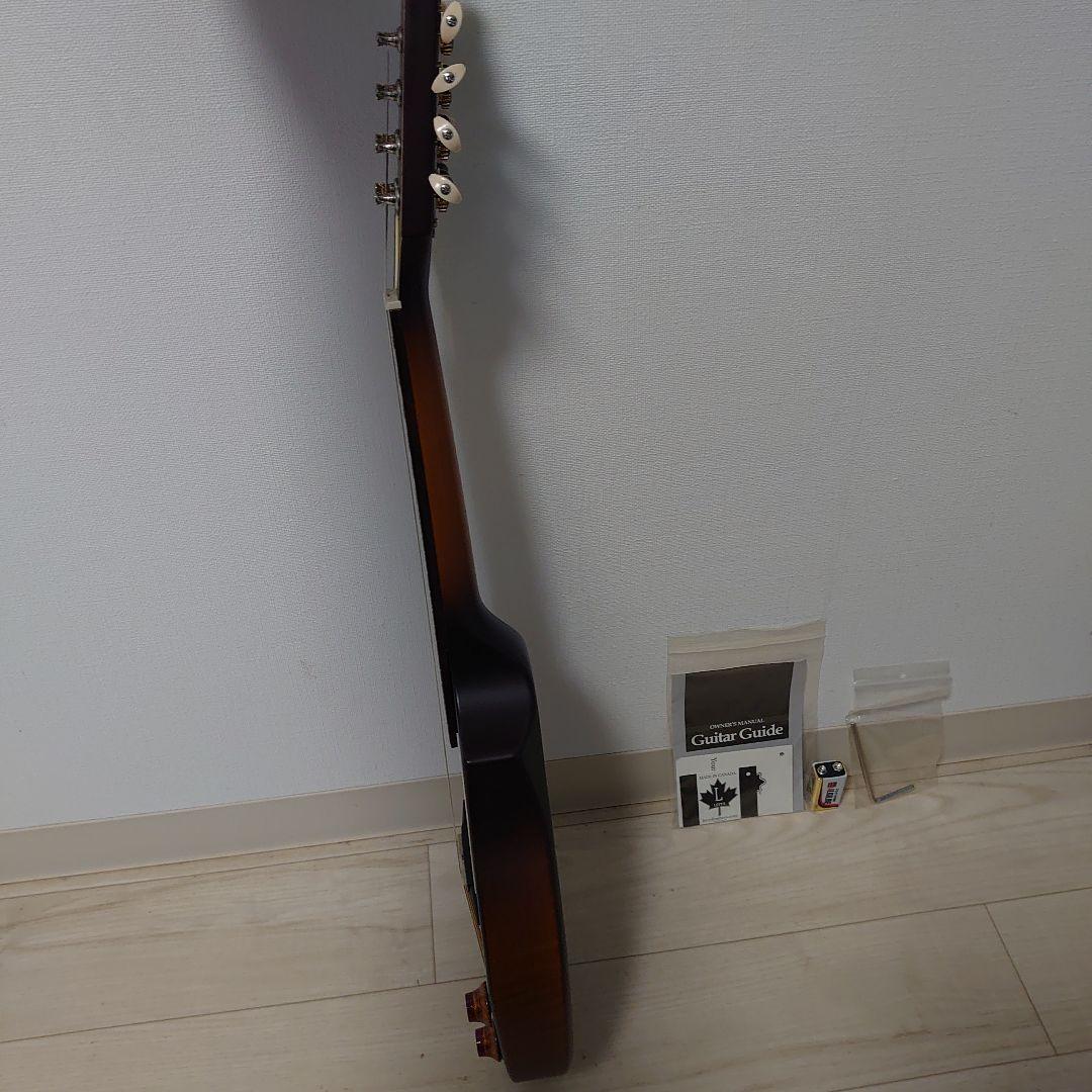 Seagull S8 マンドリン セミハードケース付き