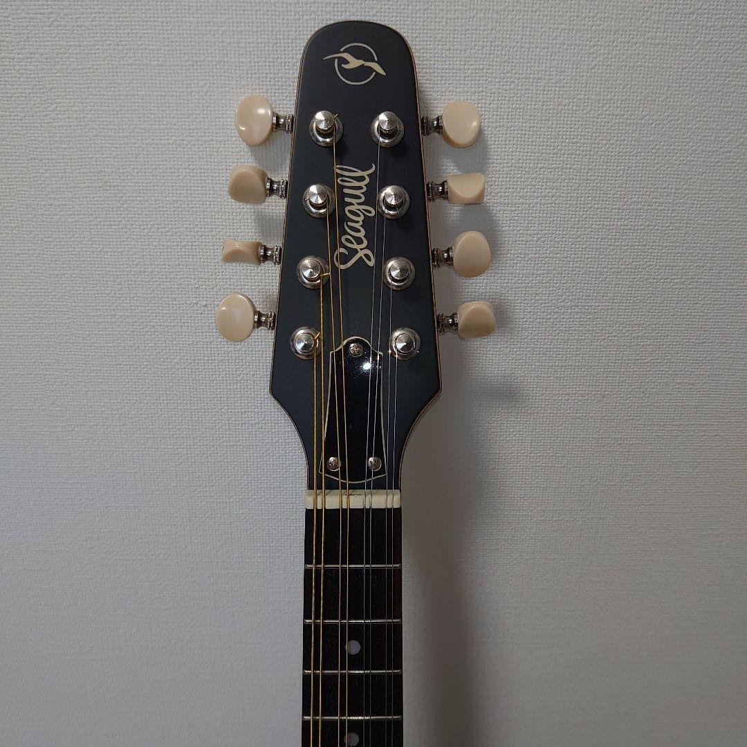 Seagull S8 マンドリン セミハードケース付き