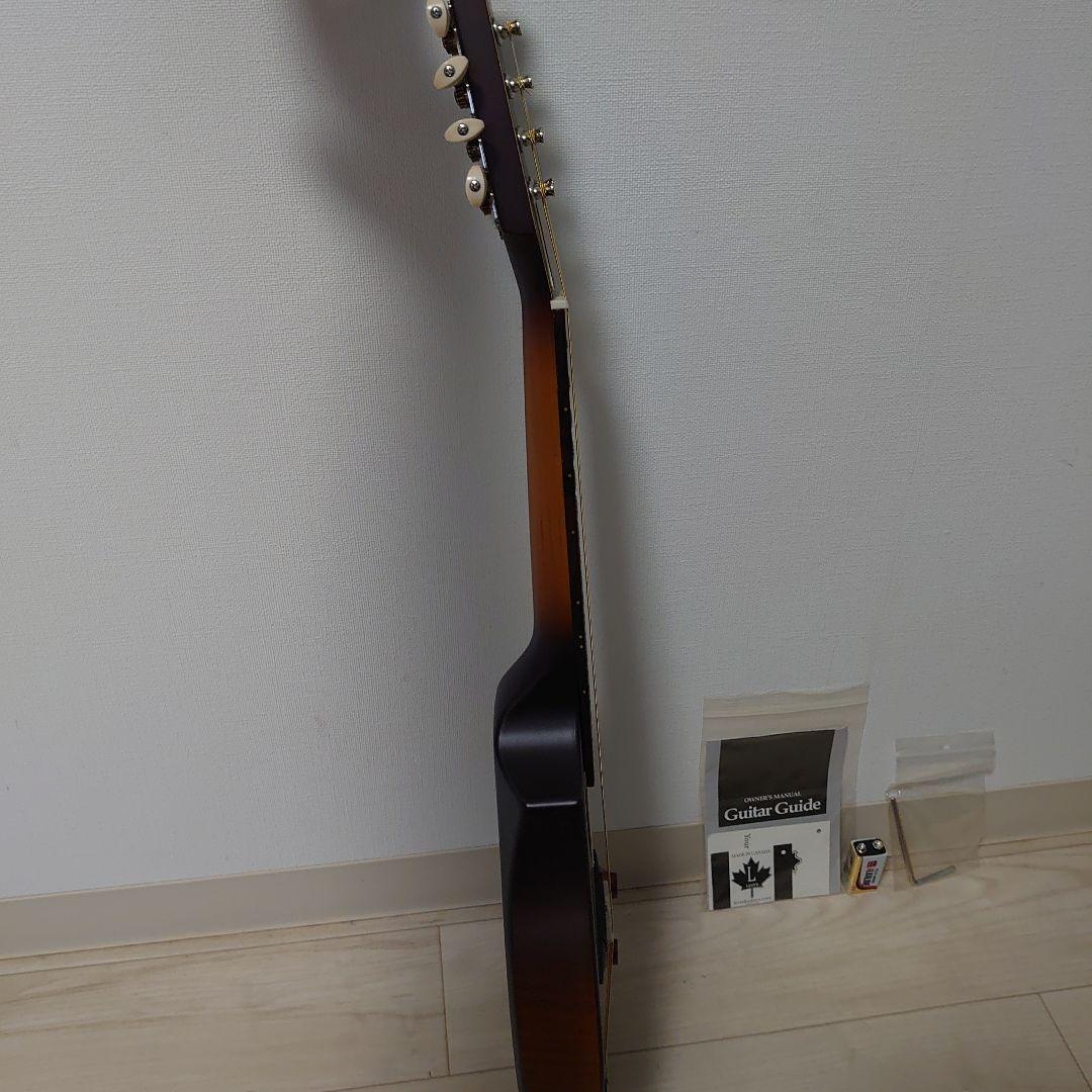 Seagull S8 マンドリン セミハードケース付き