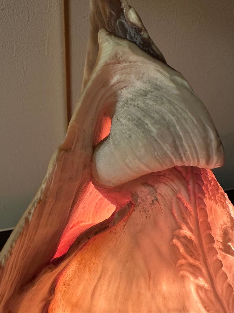 シェルランプ　アンティーク　貝殻の彫刻ランプ　カメオ