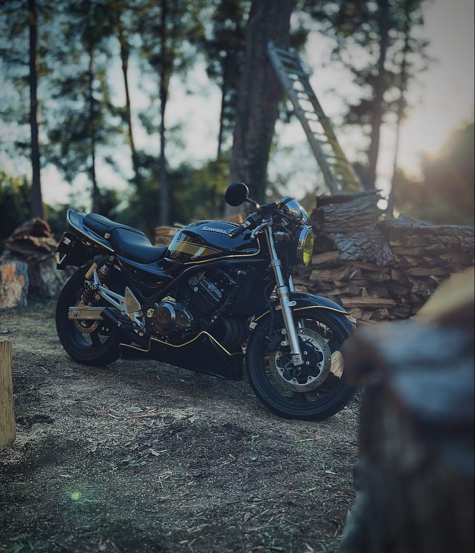 【りょう】バリオスⅡ専用　 才谷屋アンダーカウル　塗装済み