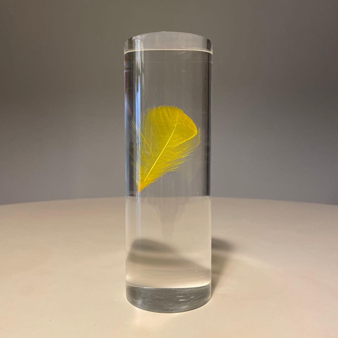 アクリルオブジェ 羽根 標本 検/倉俣史朗 羽根の封印 メンフィス ポストモダン