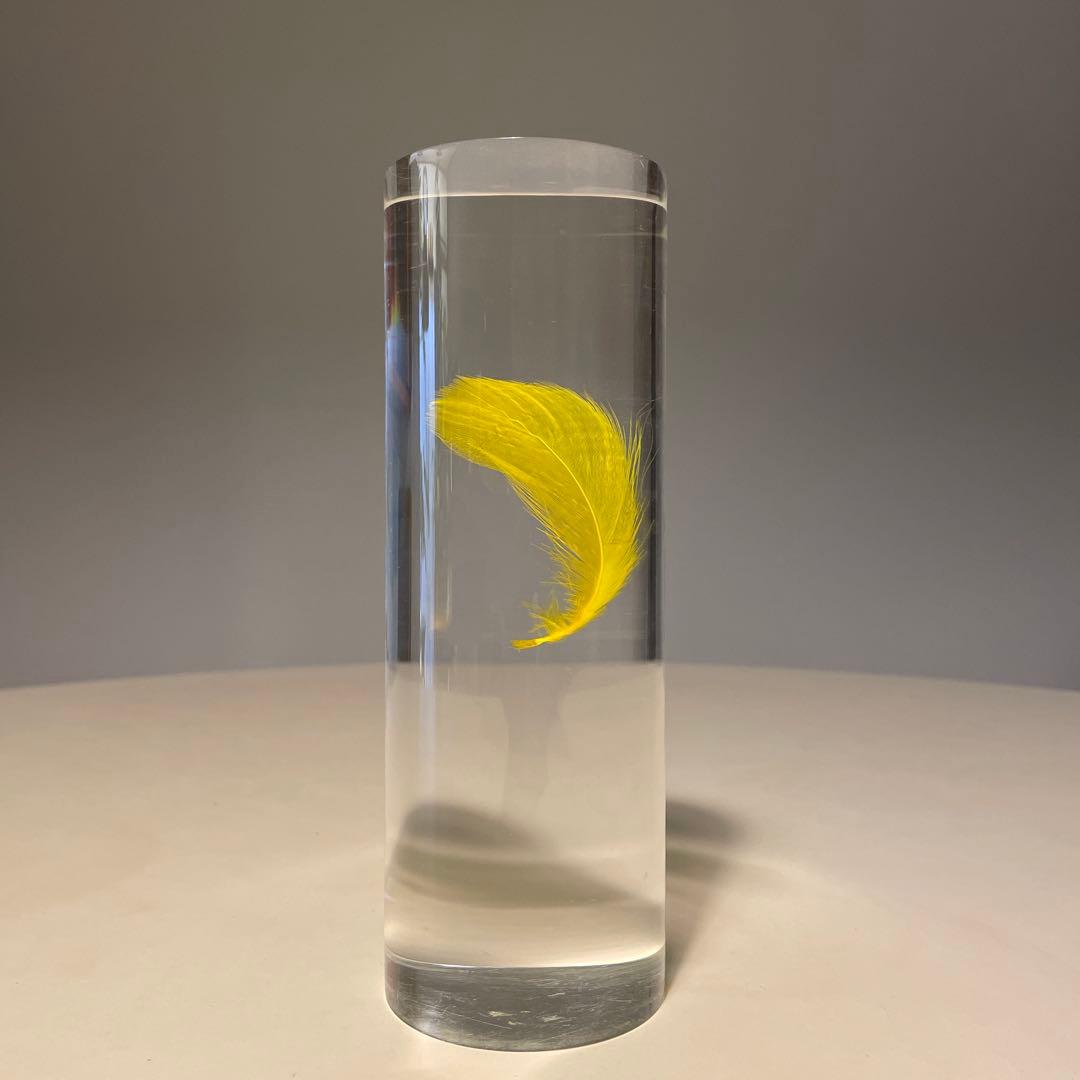 アクリルオブジェ 羽根 標本 検/倉俣史朗 羽根の封印 メンフィス ポストモダン