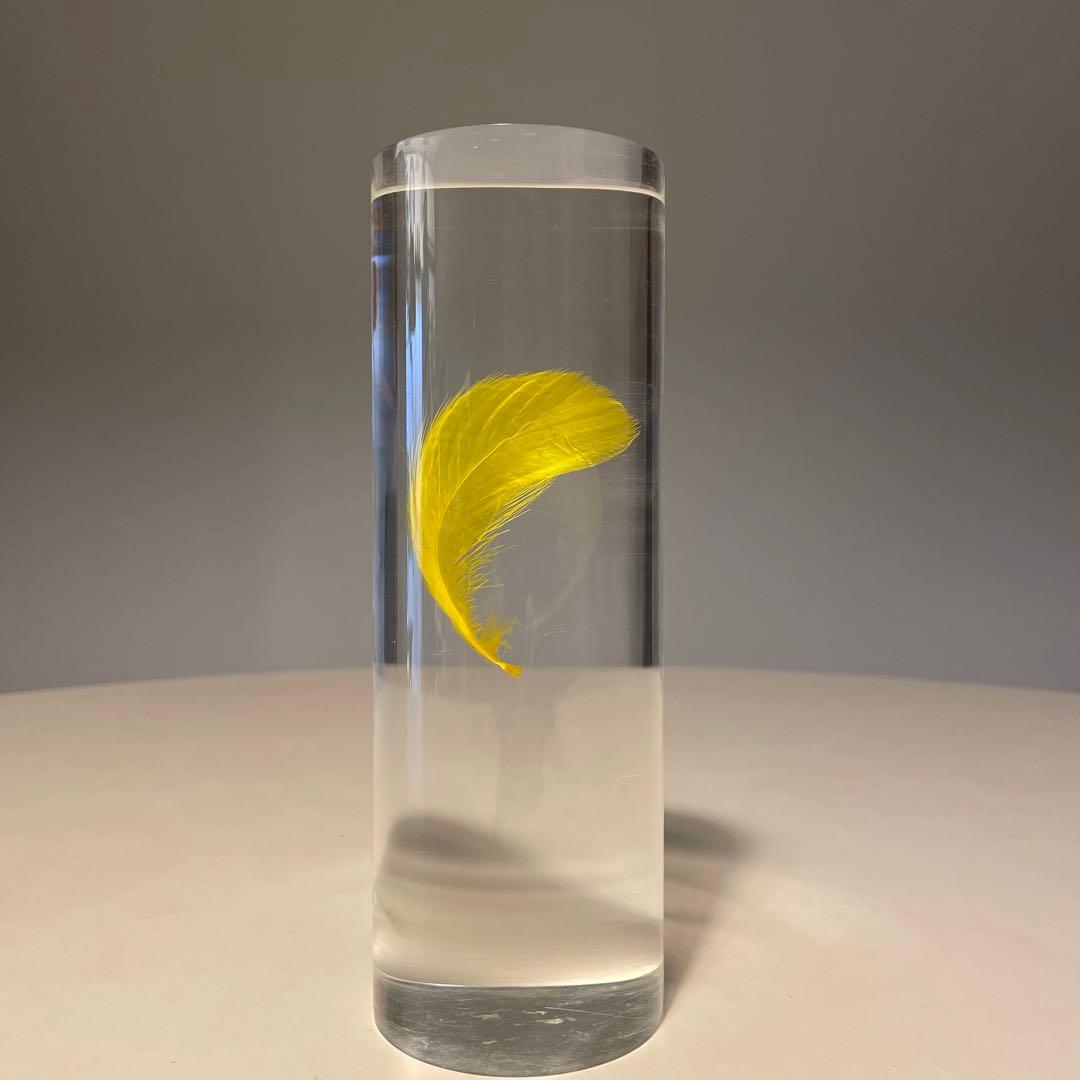 アクリルオブジェ 羽根 標本 検/倉俣史朗 羽根の封印 メンフィス ポストモダン