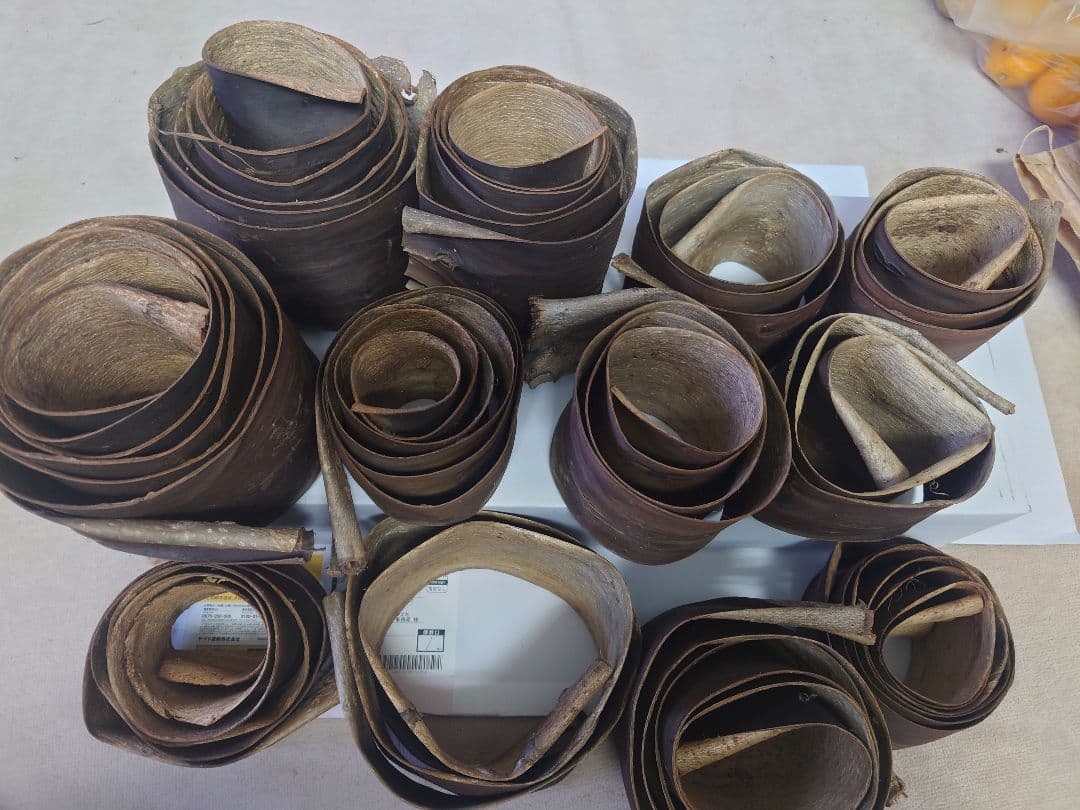 胡桃　くるみ　皮　樹皮　北海道産　2キロ