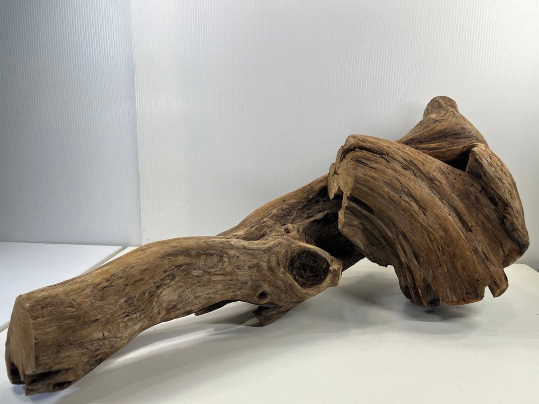 V70特大流木 アク抜き済み流木 爬虫類シェルター 登り木 インテリア 生け花