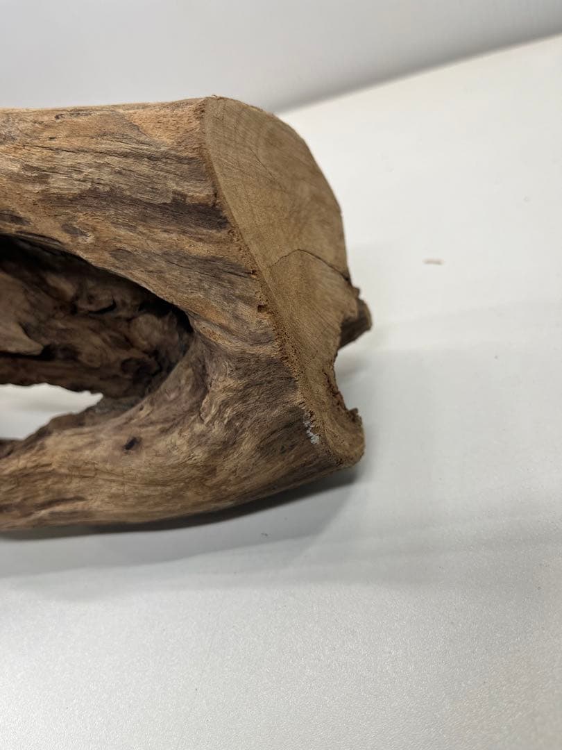 V70特大流木 アク抜き済み流木 爬虫類シェルター 登り木 インテリア 生け花