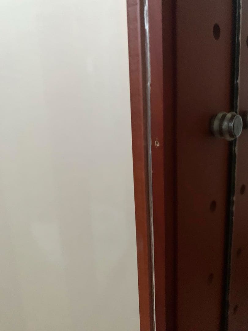 【完売品】塩川光明堂 / コレクションケース ガラスキャビネット ショーケース