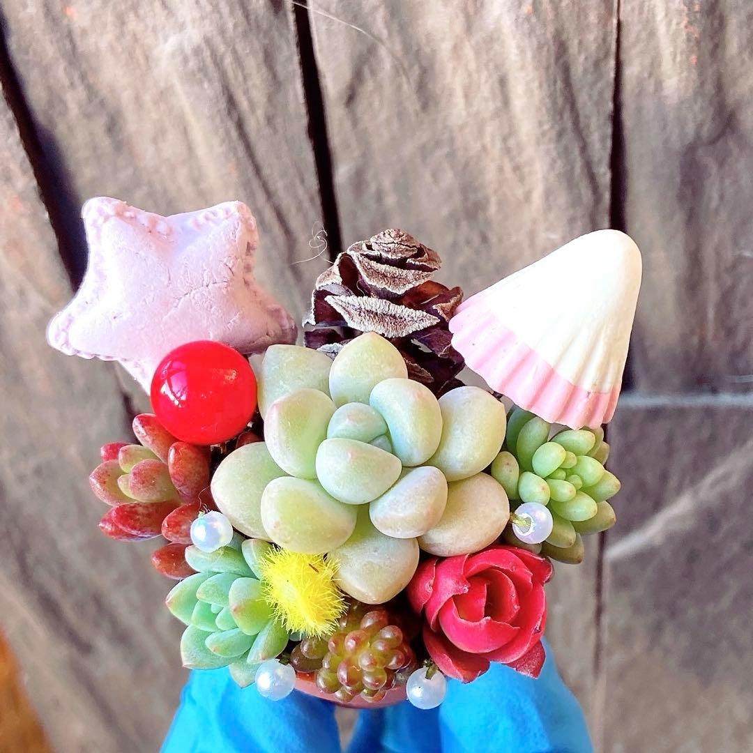 ①♥‬可愛い1寸鉢❤︎多肉植物❤︎ミニ寄せ植え❤︎そのまま飾れる❤︎