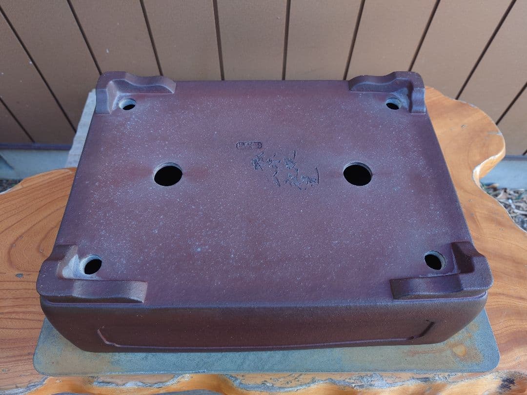 盆栽　鉢　山秋　幅41cm