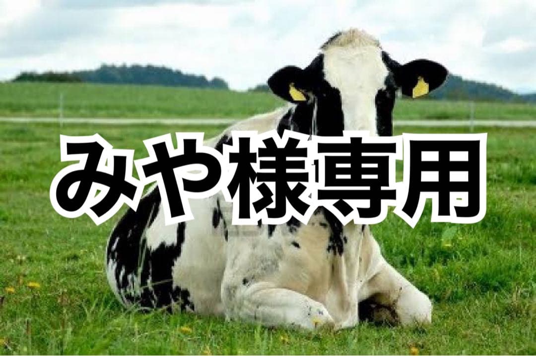 ヘリ革　黒　30m✖️2巻