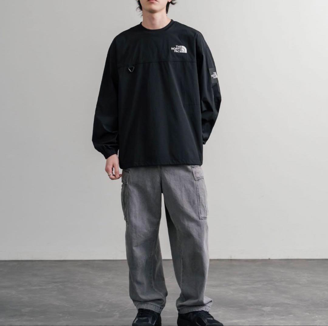 【韓国限定】ノースフェイス ⭐️ALBANY EX CREWNECK ロンT