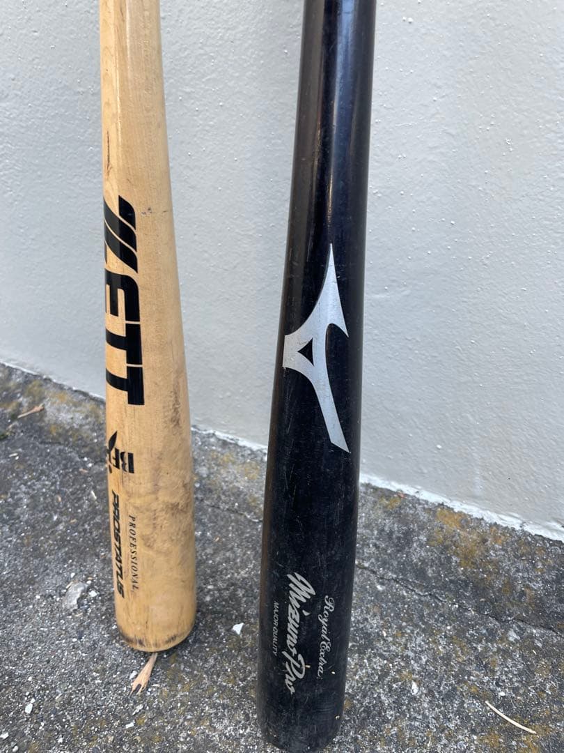 Mizuno Pro & ZETTProStatus 硬式バット2本セット