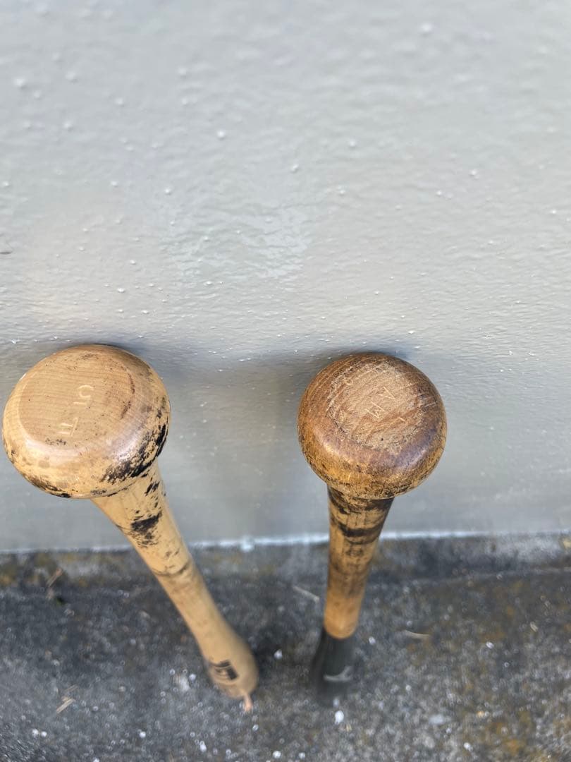 Mizuno Pro & ZETTProStatus 硬式バット2本セット