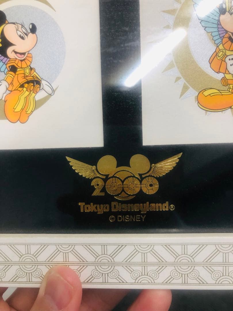 TOKYO DISNEYLAND グッズ