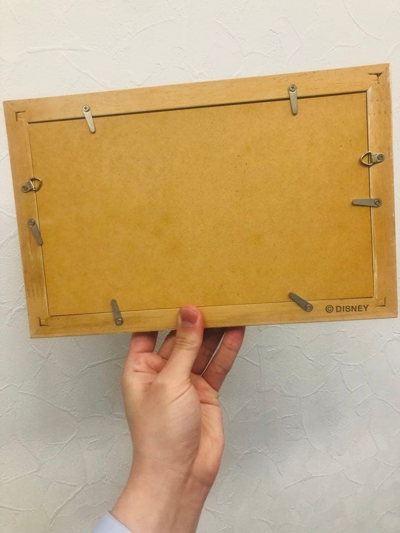 TOKYO DISNEYLAND グッズ