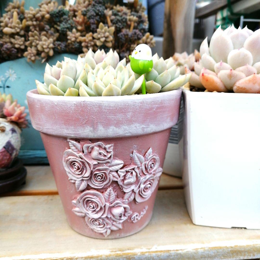 E-108. 素焼き リメイク鉢　アンティーク風 ハンドメイド 多肉植物