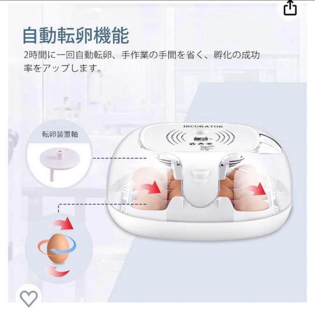 INCUBATOR自動孵卵器 透明蓋 検卵装置付き 自動転卵 ひよこ