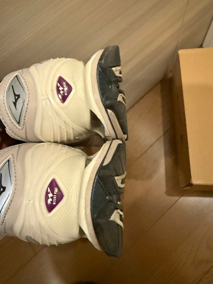 靴 MIZUNO WAVE PROPHECYLS