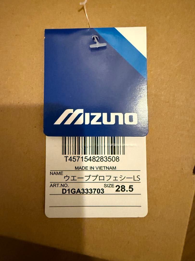 靴 MIZUNO WAVE PROPHECYLS