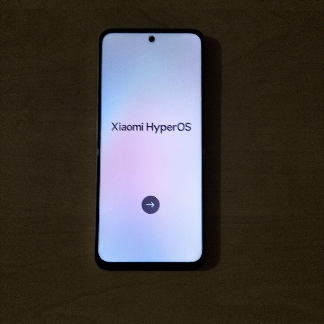 Xiaomi Redmi 12 5G シルバー 本体